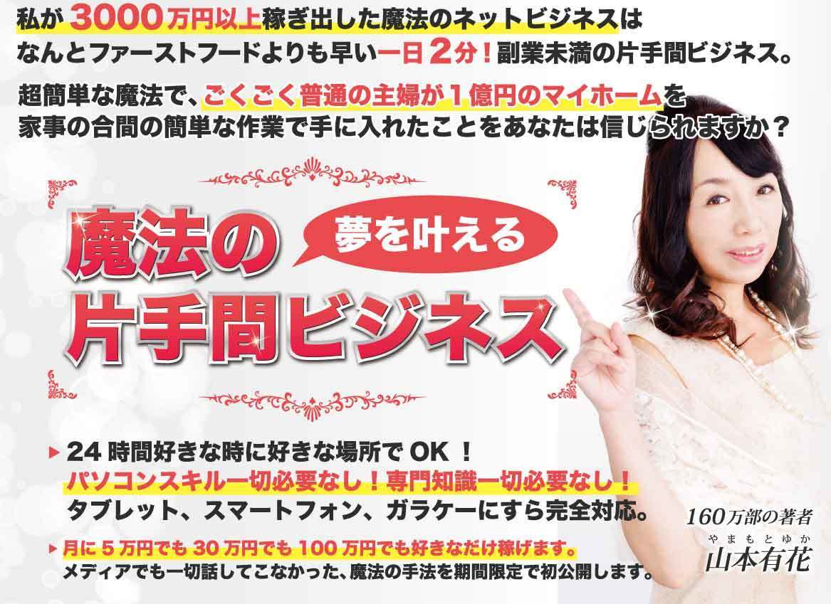山本有花 魔法の片手間ビジネス